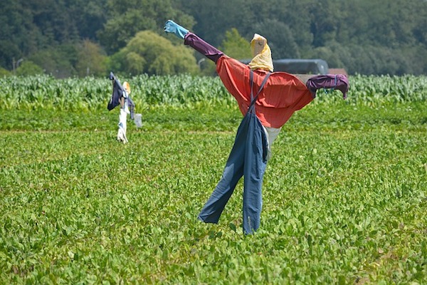 GMAT practice questions are like scarecrows. To get the job done, they should be as realistic as possible.