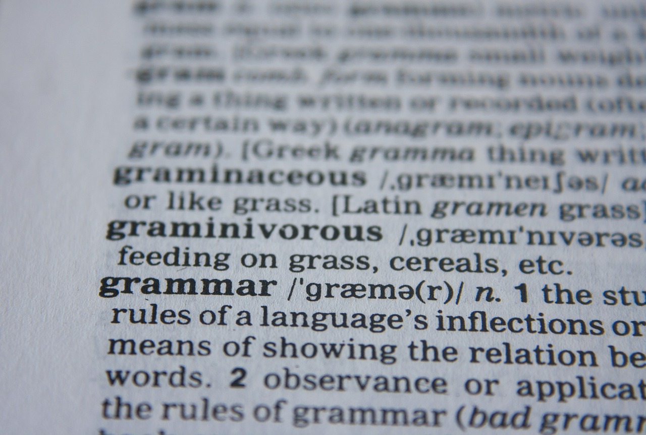 The PowerScore Verbal Bibles have excellent grammar guides to help you with sentence correction questions in particular.