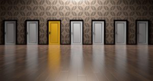 body_doors