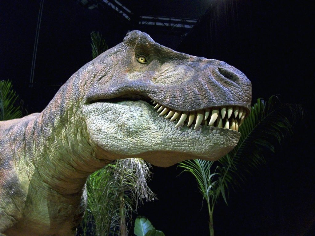 This T-Rex is a meat-eater, not to be confused with meteor (I'll be here all night).