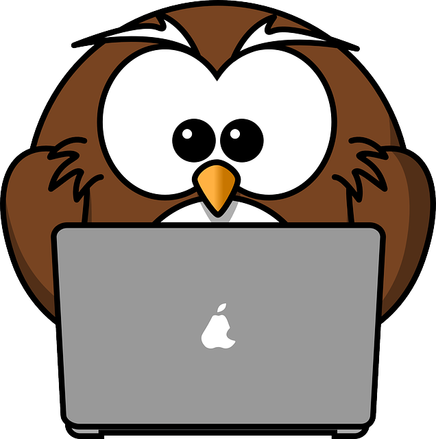 body_owl_computer