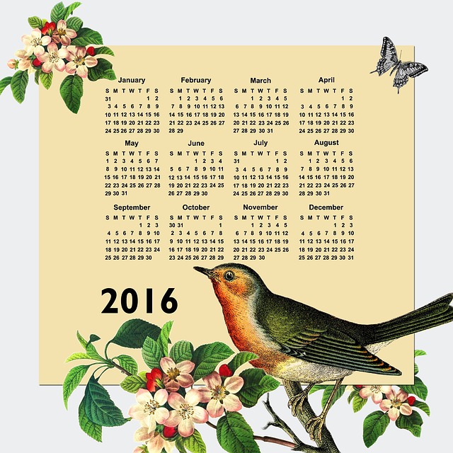 calendar-2016-875237_640