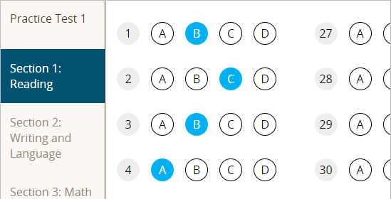 Practice Test Screenshot